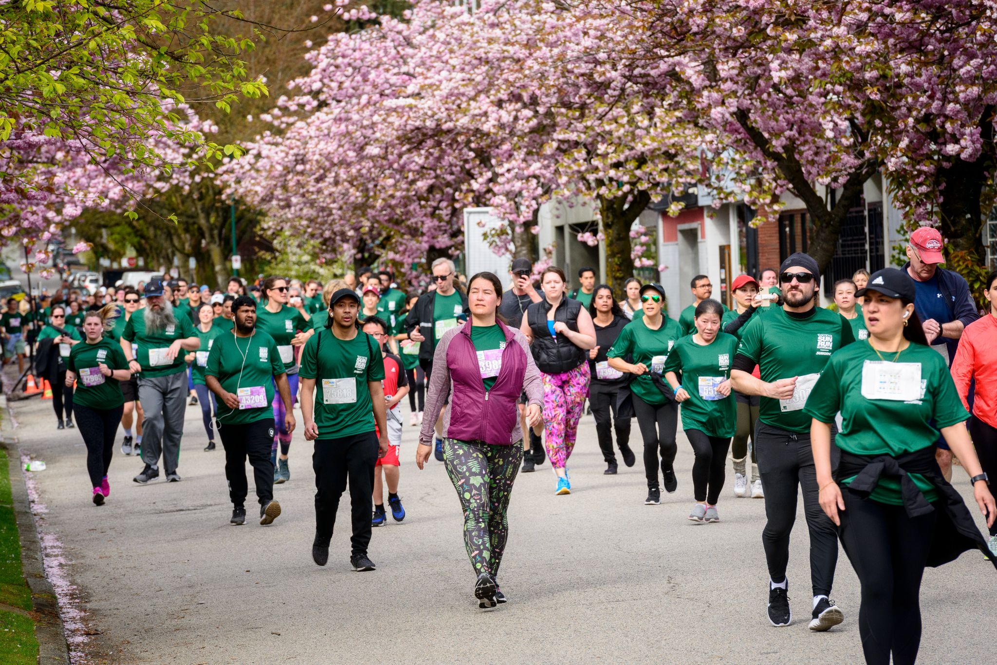 Photo walkers sun run