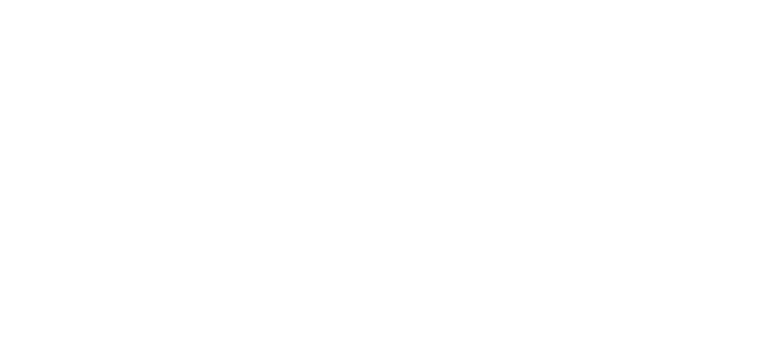 2XU-logo-white